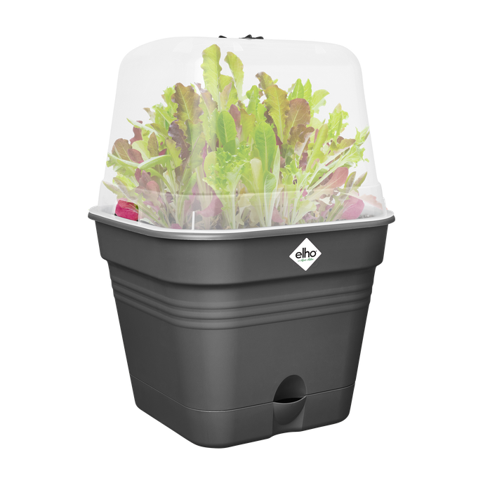 green basics kweekpot vierk. allin1 15cm living black